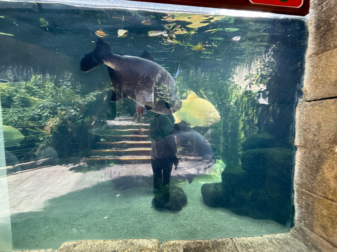 Cebu Ocean Park - Cebu-宿雾市必去景点