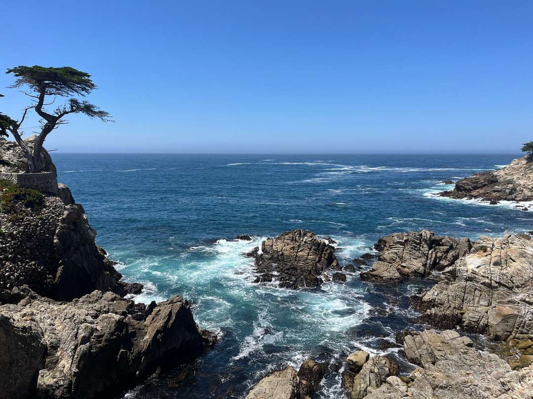 Lone Cypress-圆石滩必去景点