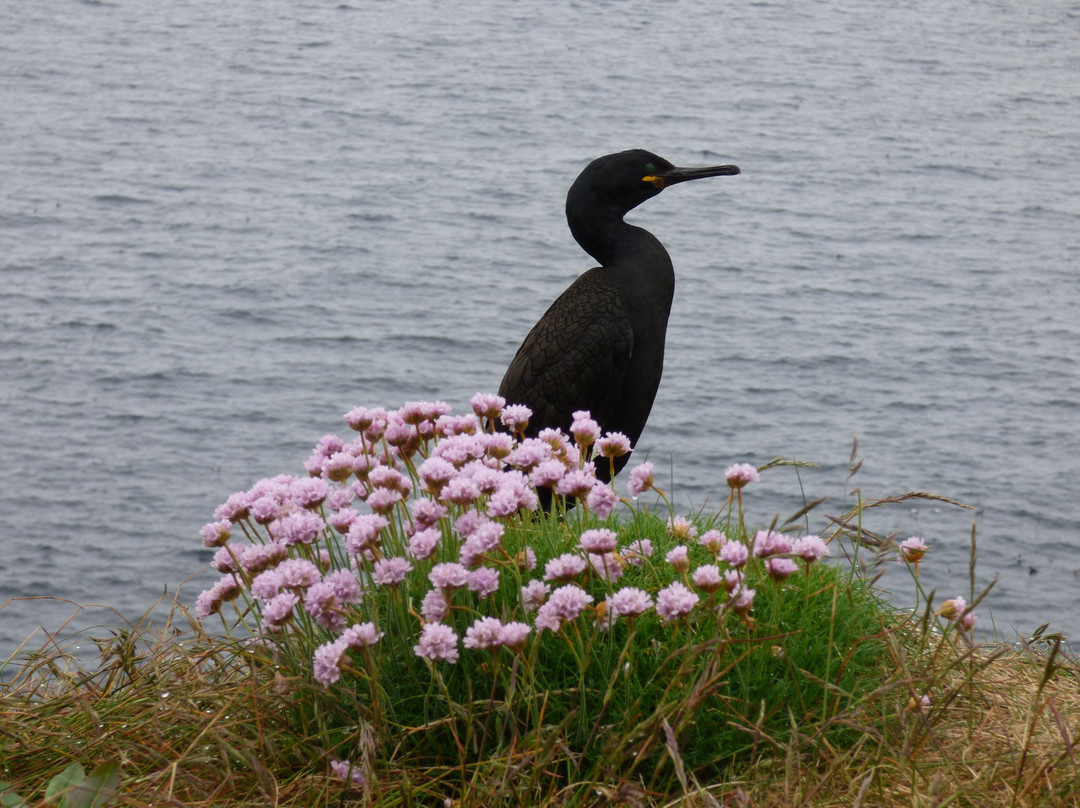 Mull Wildlife Breaks-Salen必去景点