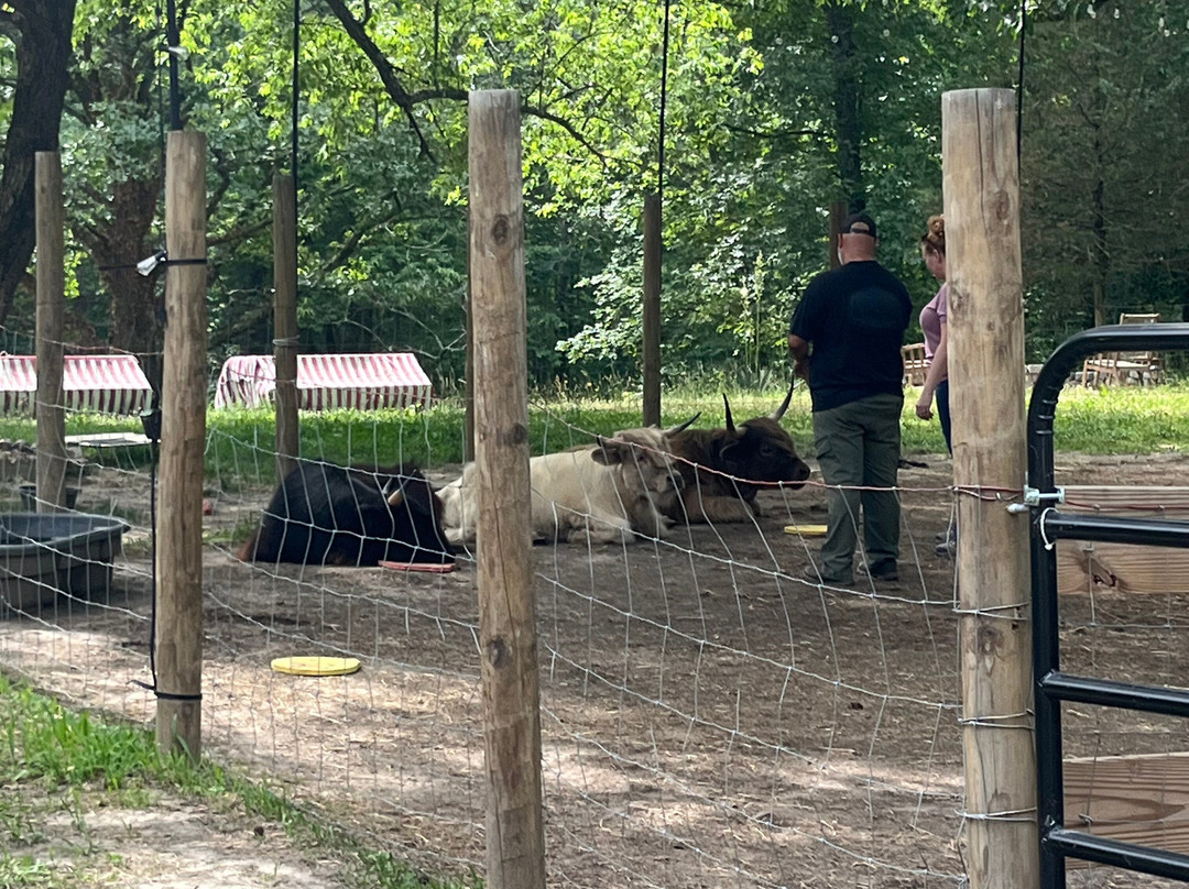 Brandywine Cow Cuddles-Brandywine必去景点