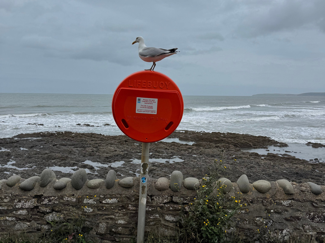 Westward Ho Beach-Westward Ho!必去景点