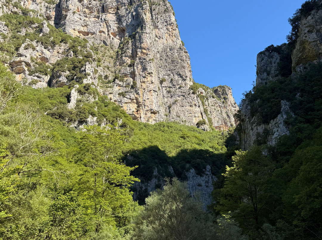 TAXI Zagori The MountainVan