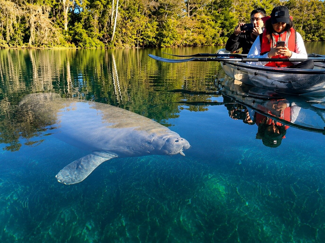 Get Up And Go Kayaking - Silver Springs