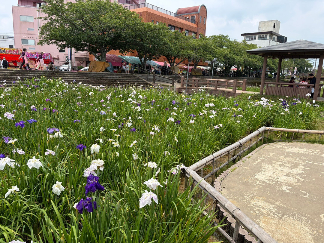 Suigo Itako Ayame Garden-潮来市必去景点