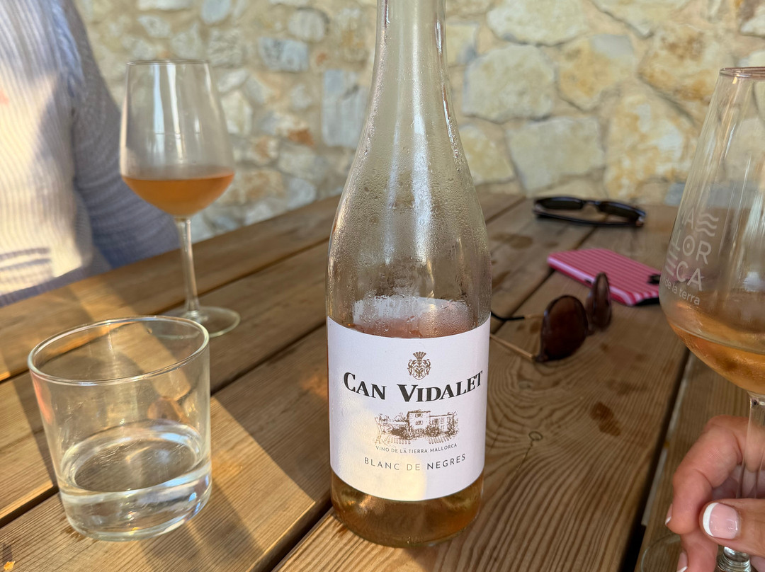 Bodegas Can Vidalet-Pollenca必去景点