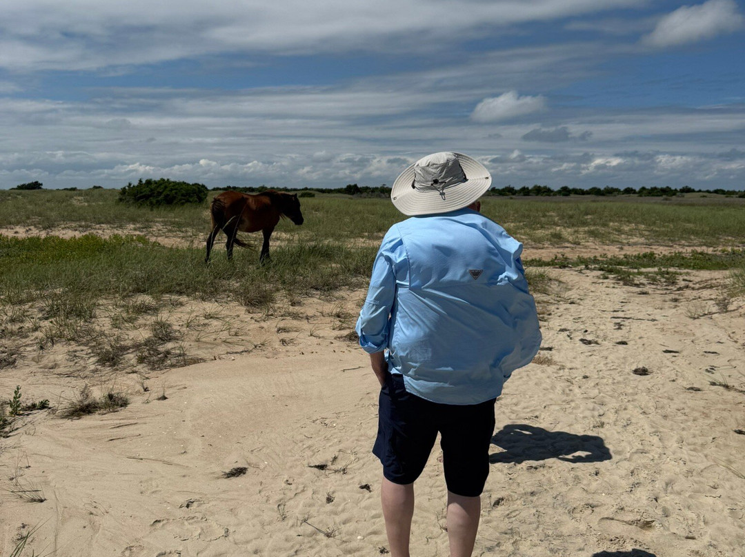 Shackleford Banks-Harkers Island必去景点