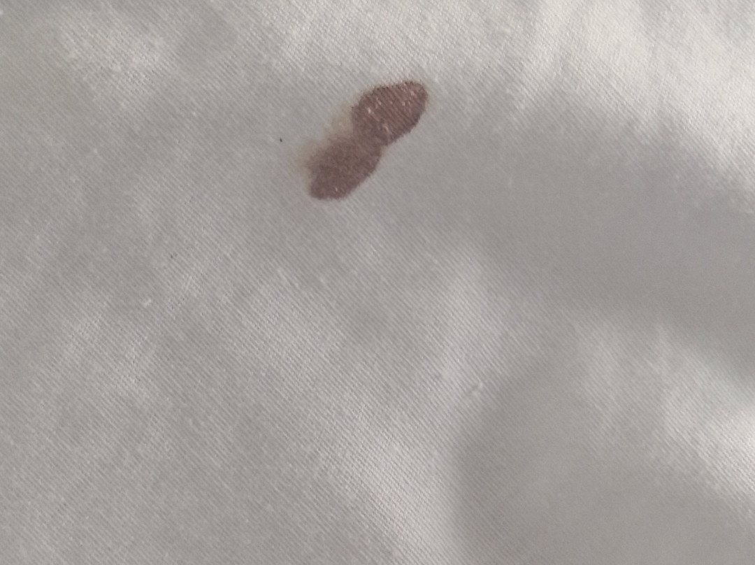 卡玛切海港旅馆主图