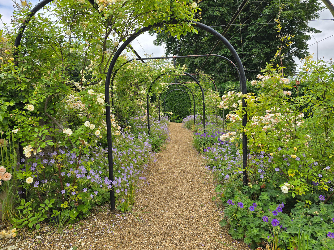 Coton Manor Gardens-北安普敦必去景点