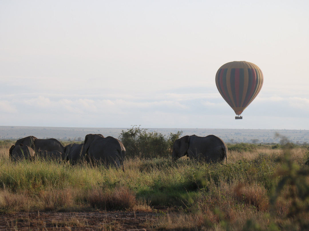 Live in Love Kenya tours and travel-Langata必去景点