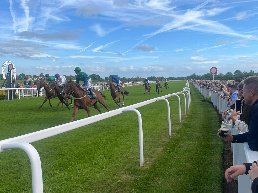 Ripon Racecourse-里彭必去景点