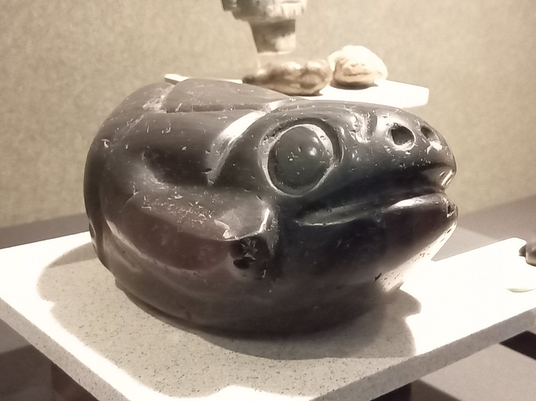 国家人类学博物馆 (Museo Nacional de Antropologia)-墨西哥城必去景点