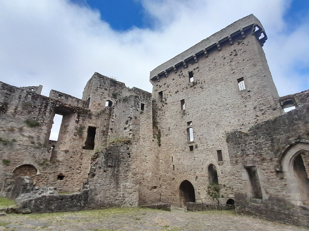 Chateau de Clisson-Clisson必去景点