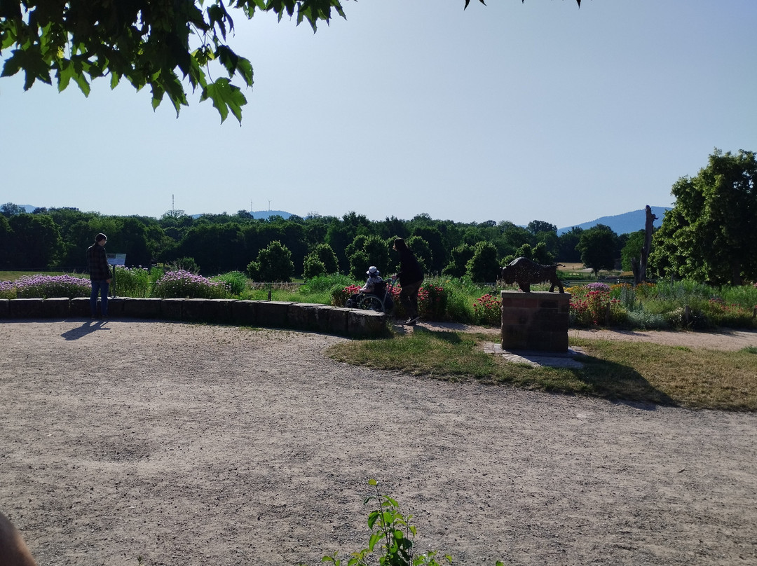 Mundenhof-佛莱堡必去景点