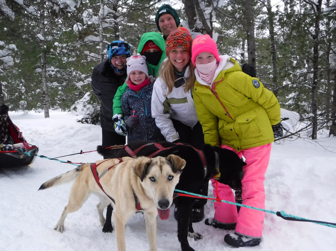 Nature's Kennel Sled Dog Adventures-McMillan必去景点