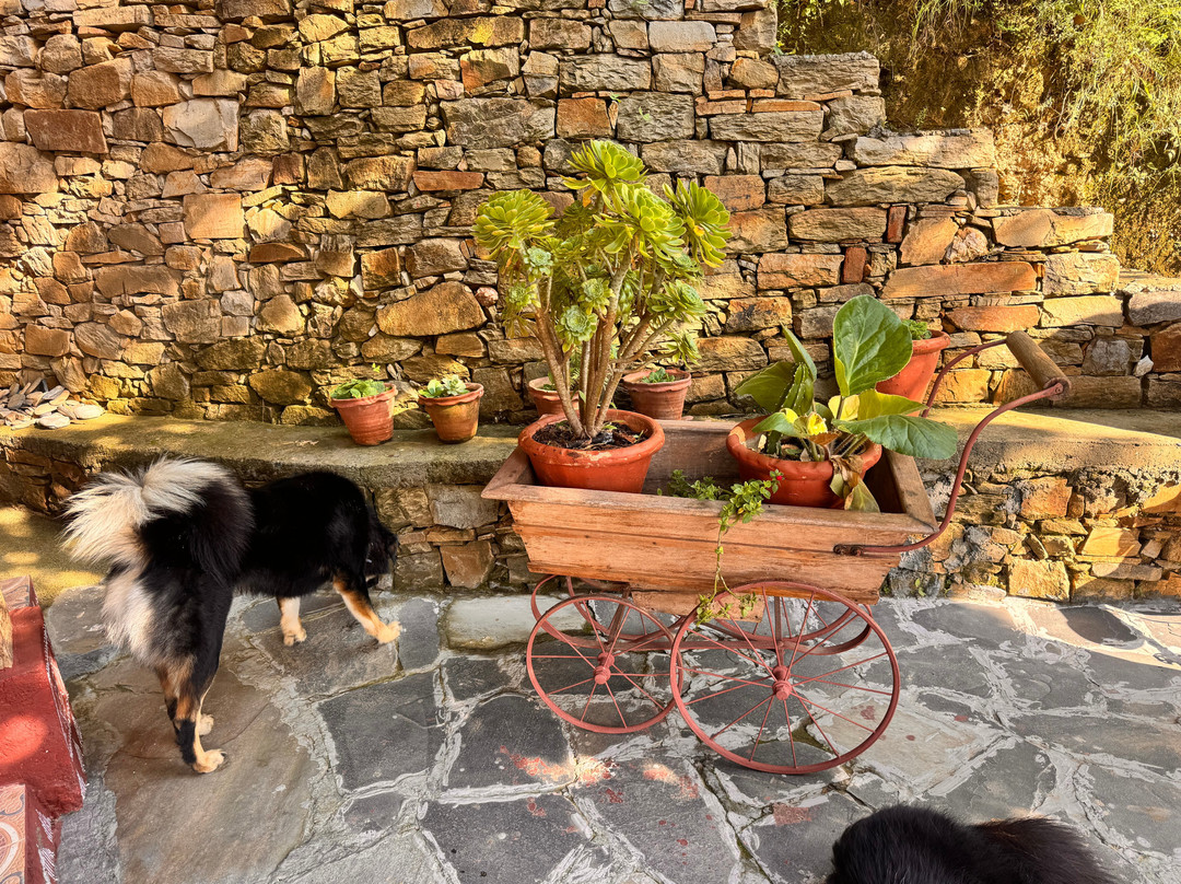 The Slow Living Farm-Simyal Gaon必去景点