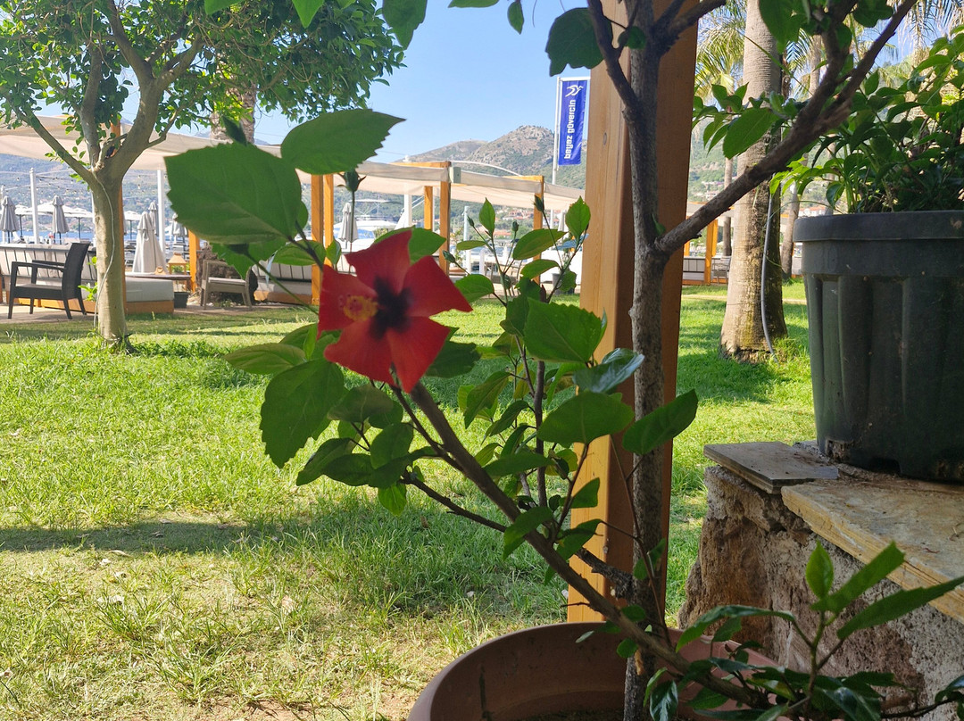 Beyaz Güvercin Butik Otel主图