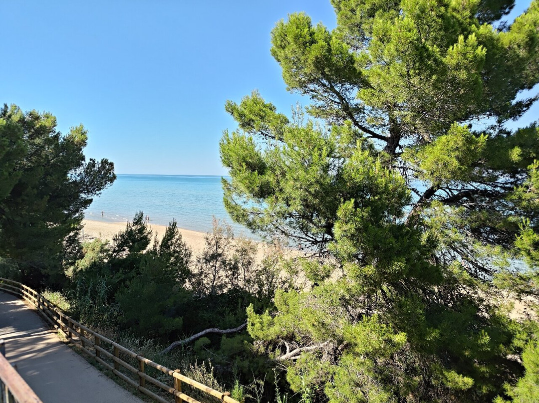 Area Marina Protetta Torre del Cerrano-Pineto必去景点