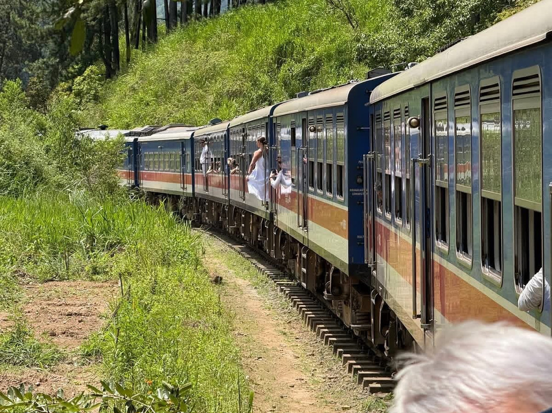 Absolute Lanka Tours-科伦坡必去景点