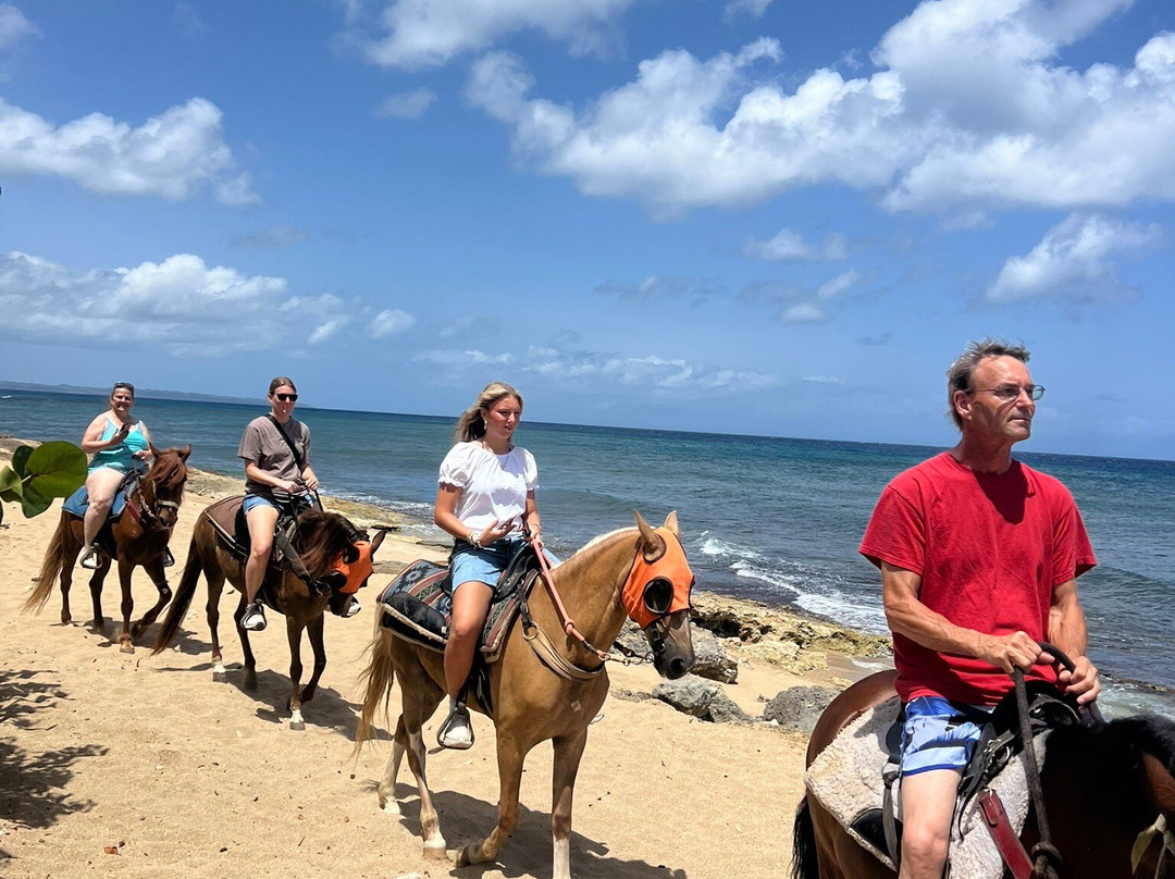 Playuelas Horse Rides-Aguadilla必去景点
