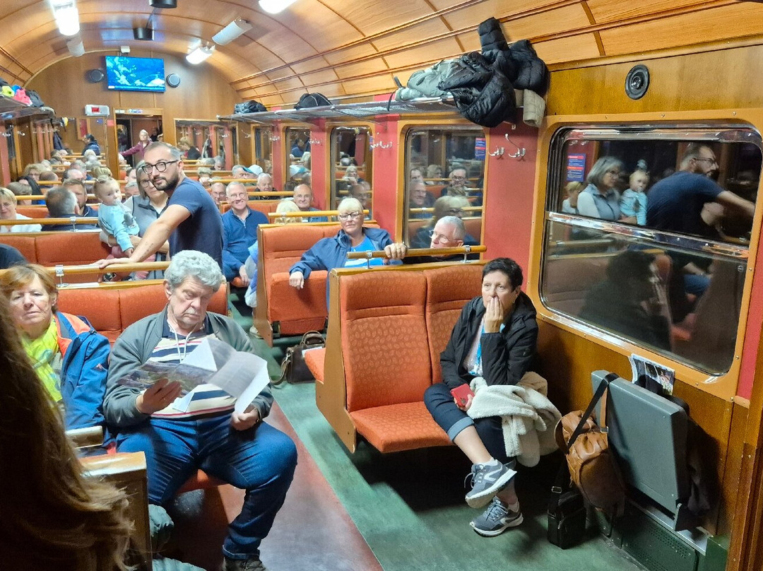 Tren De Flåm-弗洛姆必去景点