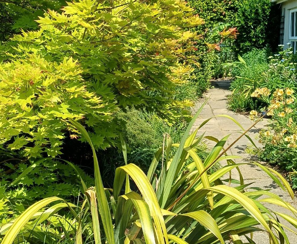 Green Island Gardens-Ardleigh必去景点