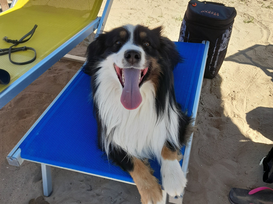 La Spiaggia di Snoopy-Grado Pineta必去景点