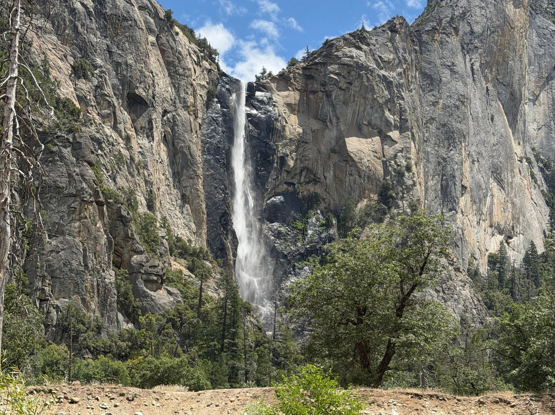 Yosemite 360 Tours-菲什营必去景点
