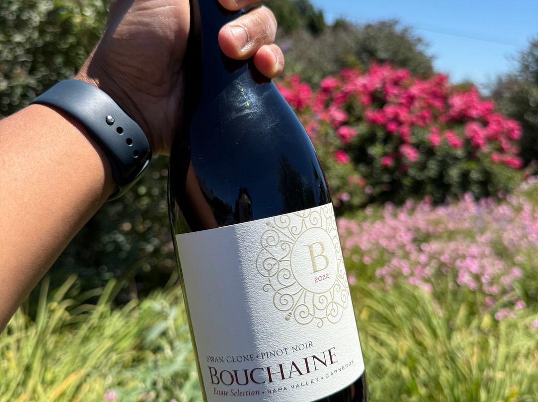 Bouchaine Vineyards - Napa Valley-纳帕必去景点
