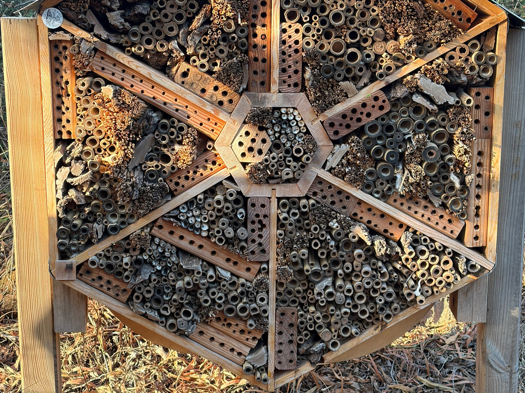 Bee Garden Alghero-阿尔盖罗必去景点