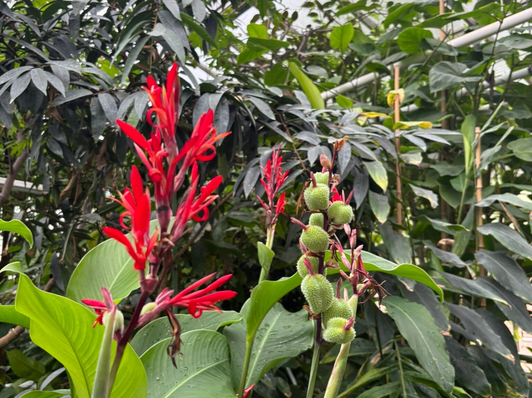 Botanischer Garten und Gewächshäuser-Greifswald必去景点