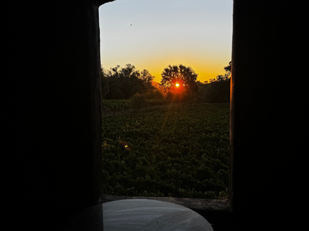 Gracianna Winery-希尔兹堡必去景点