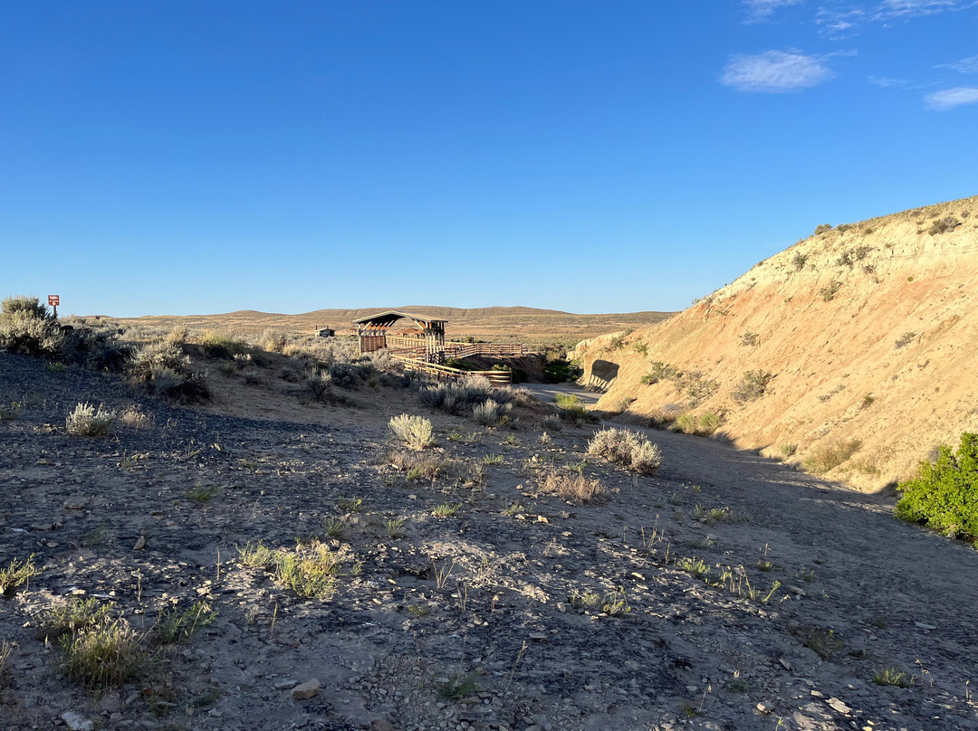 Red Gulch Dinosaur Tracksite-Greybull必去景点