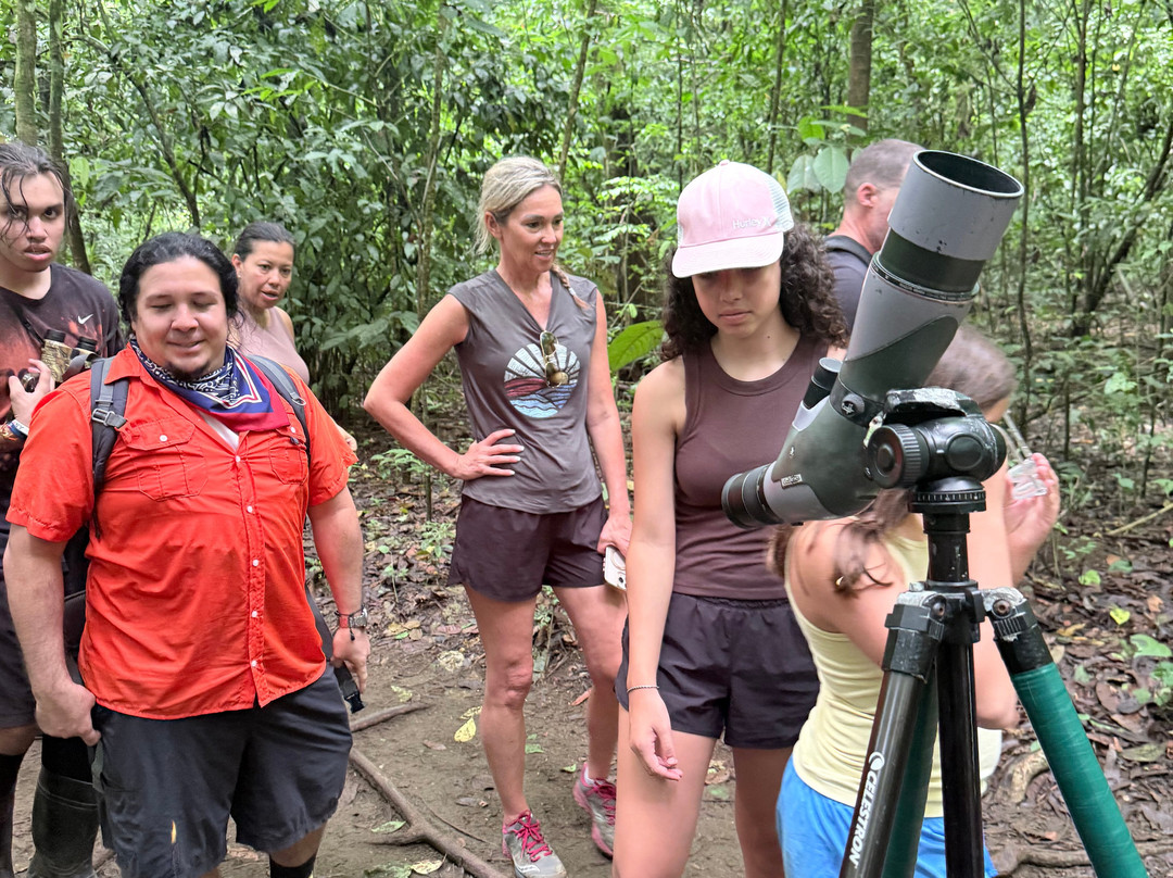 Jaguar Corcovado Tours-希门尼斯港必去景点
