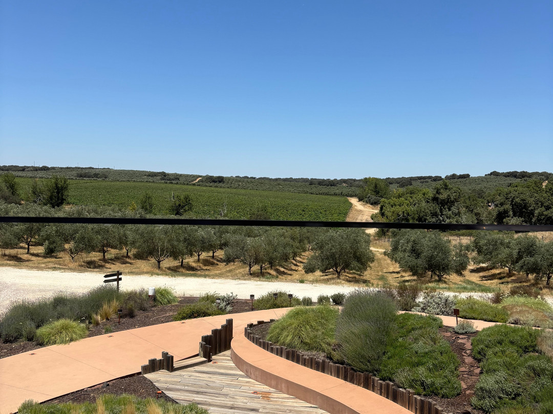 Mainova Wine and Olive Oil Experiences-Vimieiro必去景点