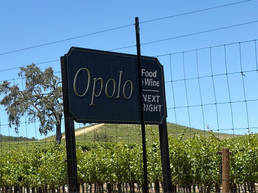 The Inn at Opolo主图