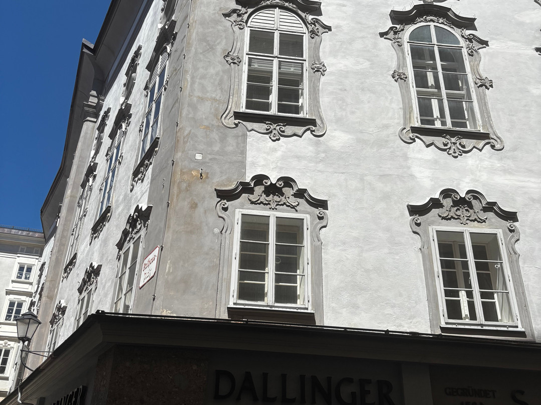 Old City Hall (Altes Rathaus)-萨尔茨堡必去景点