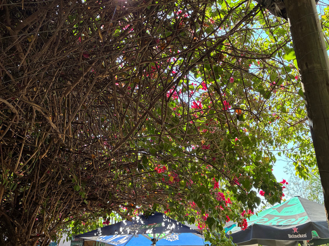 The Farmhouse Restaurant Guesthouse Beergarden Pty Ltd主图