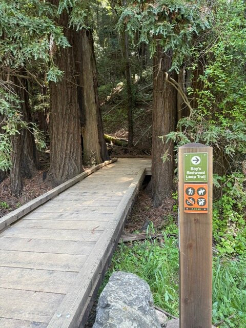 Roy's Redwoods Loop Trail