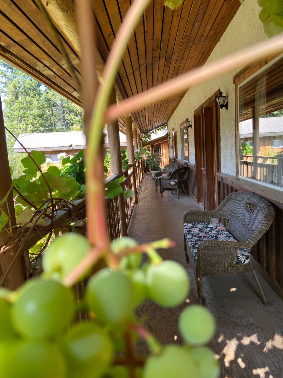 Boccalino Restaurant, Motel & Cabins-酒店景观
