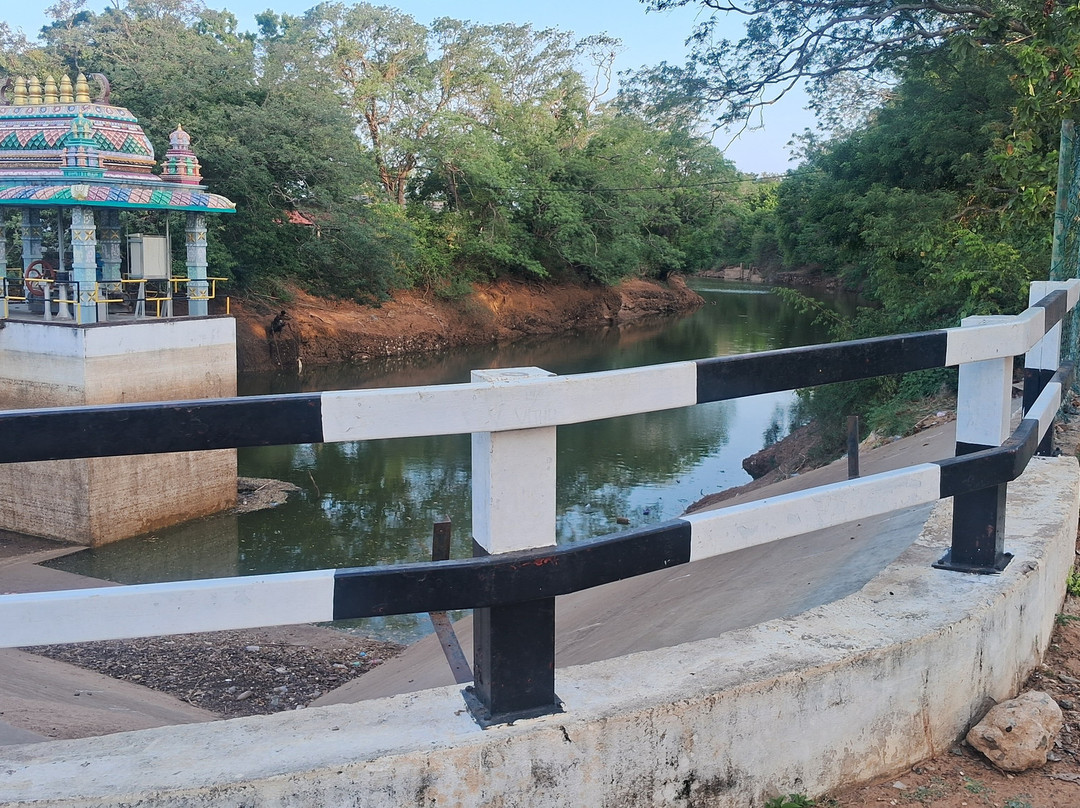 Iranamadu Tank-Ampakamam必去景点