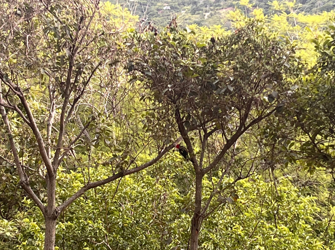 Hacienda La Chimba-圣安娜必去景点