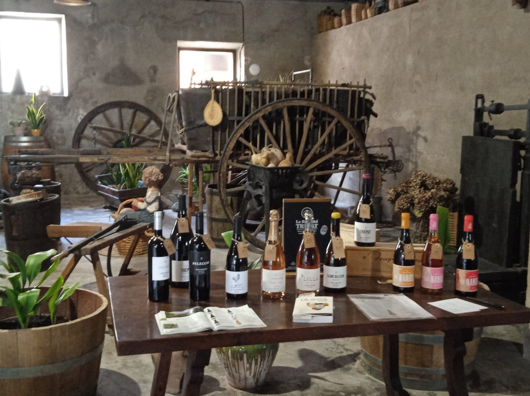 Celler Mas Foraster-Montblanc必去景点