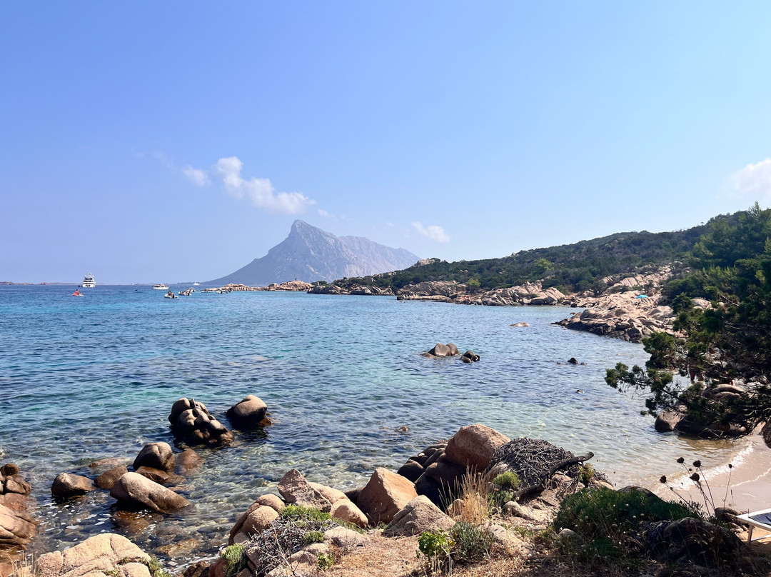 Spiaggia Delle Vacche-Baia Sardinia必去景点