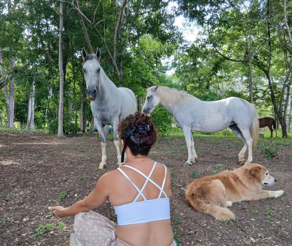 Horse Spirit Healing-Cabuya必去景点
