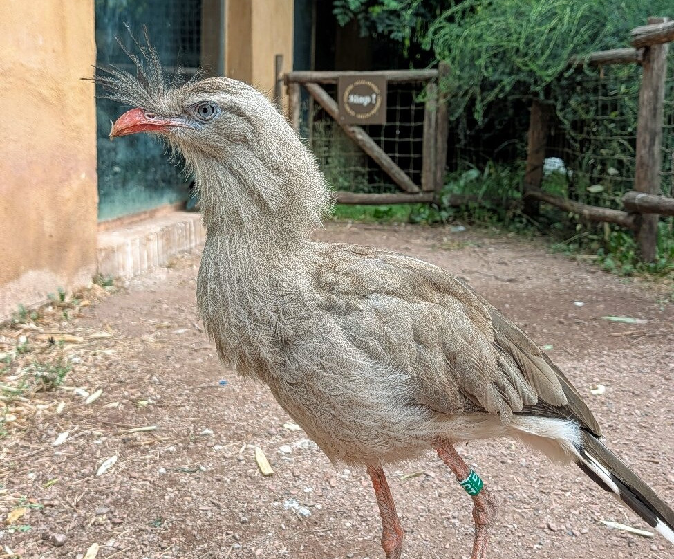 Zoo D'Amneville-昂内维尔必去景点