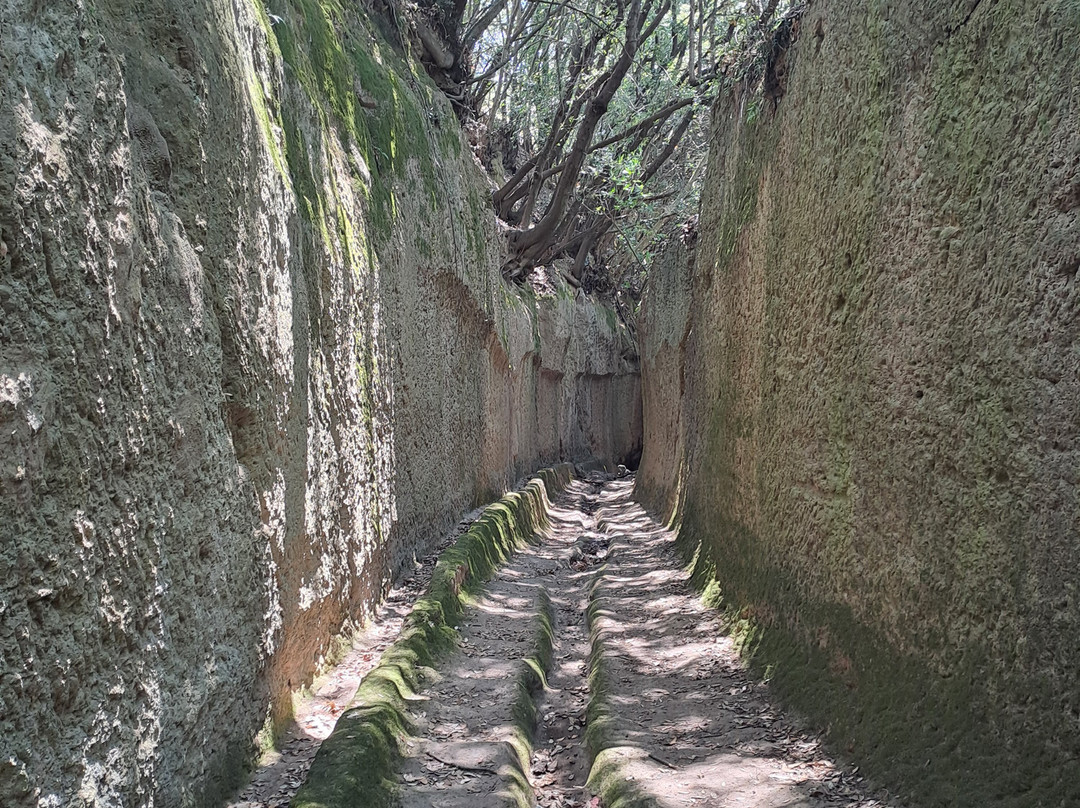 Vie Cave Etrusche-皮蒂利亚诺必去景点