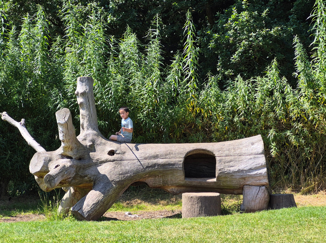 Gosford Forest Park-阿尔马必去景点