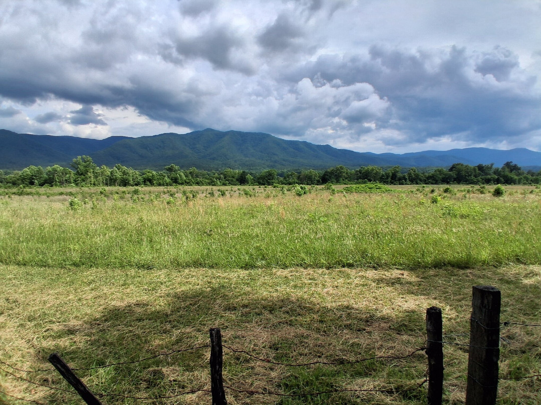 Cades Cove-大雾山国家公园必去景点