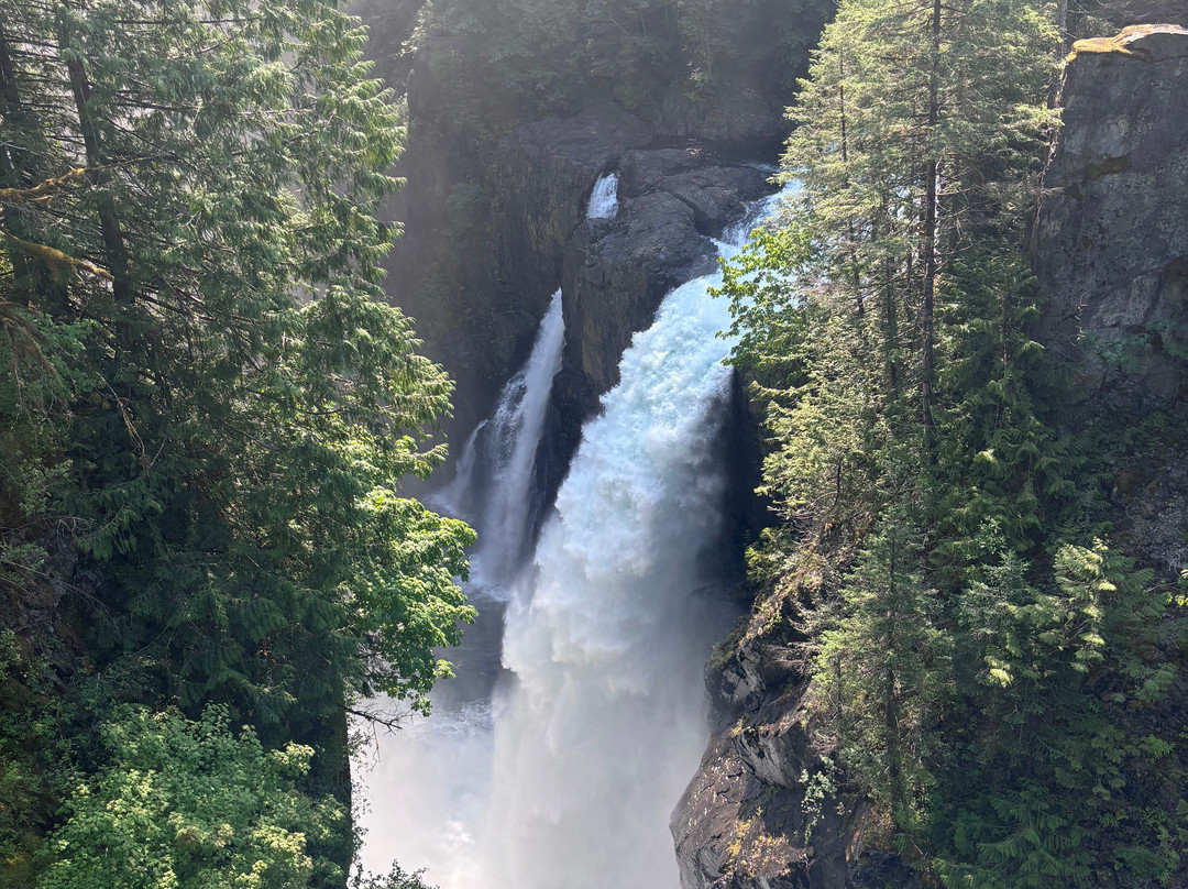 Elk Falls Suspension Bridge-坎贝尔里弗必去景点