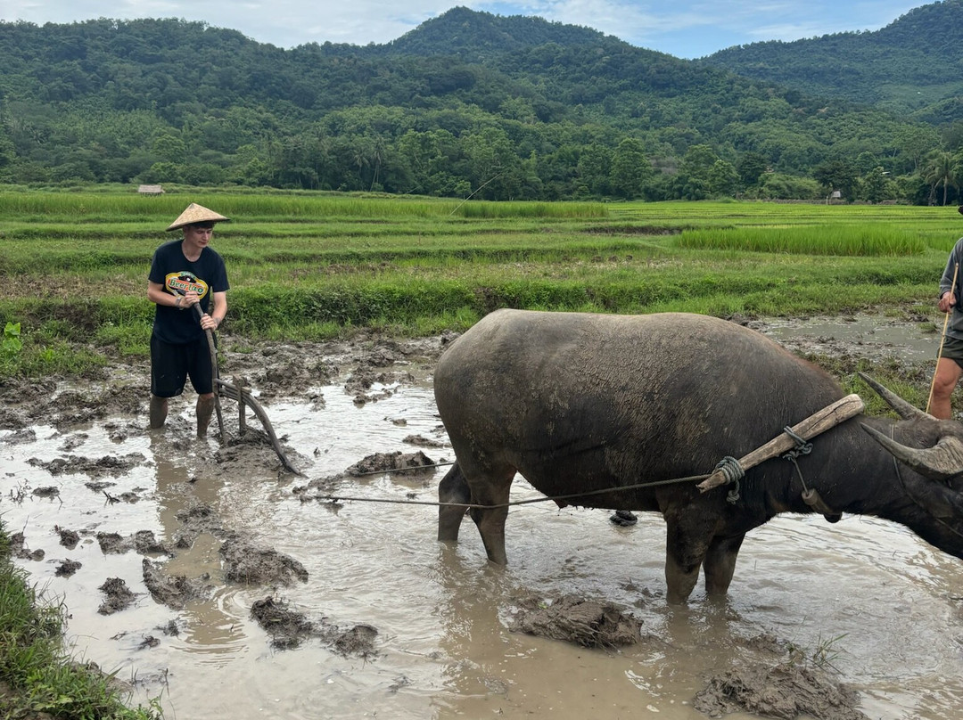 Living Land农场体验之旅-琅勃拉邦必去景点